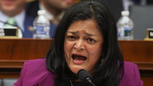 Looking forward to Harris be first South Asian American, Black woman to serve as US President: Pramila Jayapal