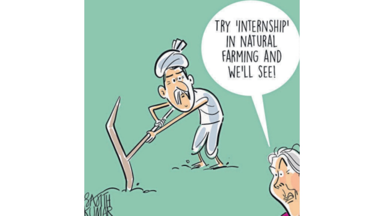 DH Toon | Put your hand to the plough