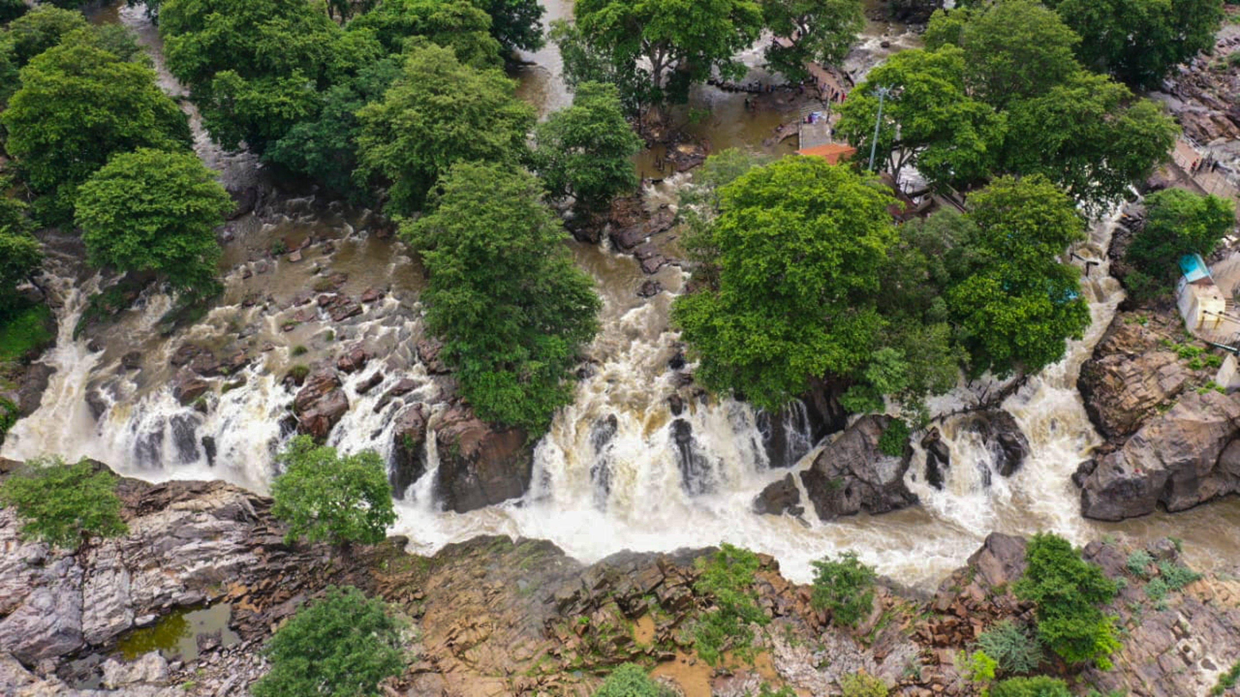 Biryani fed to stranded dogs using drone in flooded Cauvery River in Tamil Nadu: Report