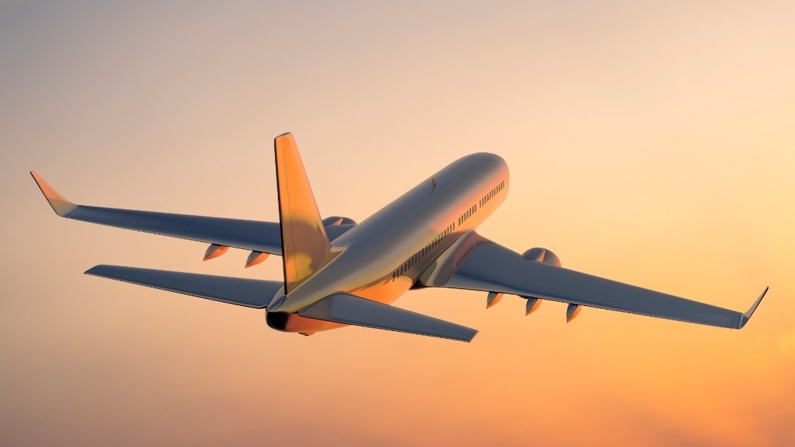Woman bites CISF constable, assaults 2 others on Pune-Delhi flight: Report