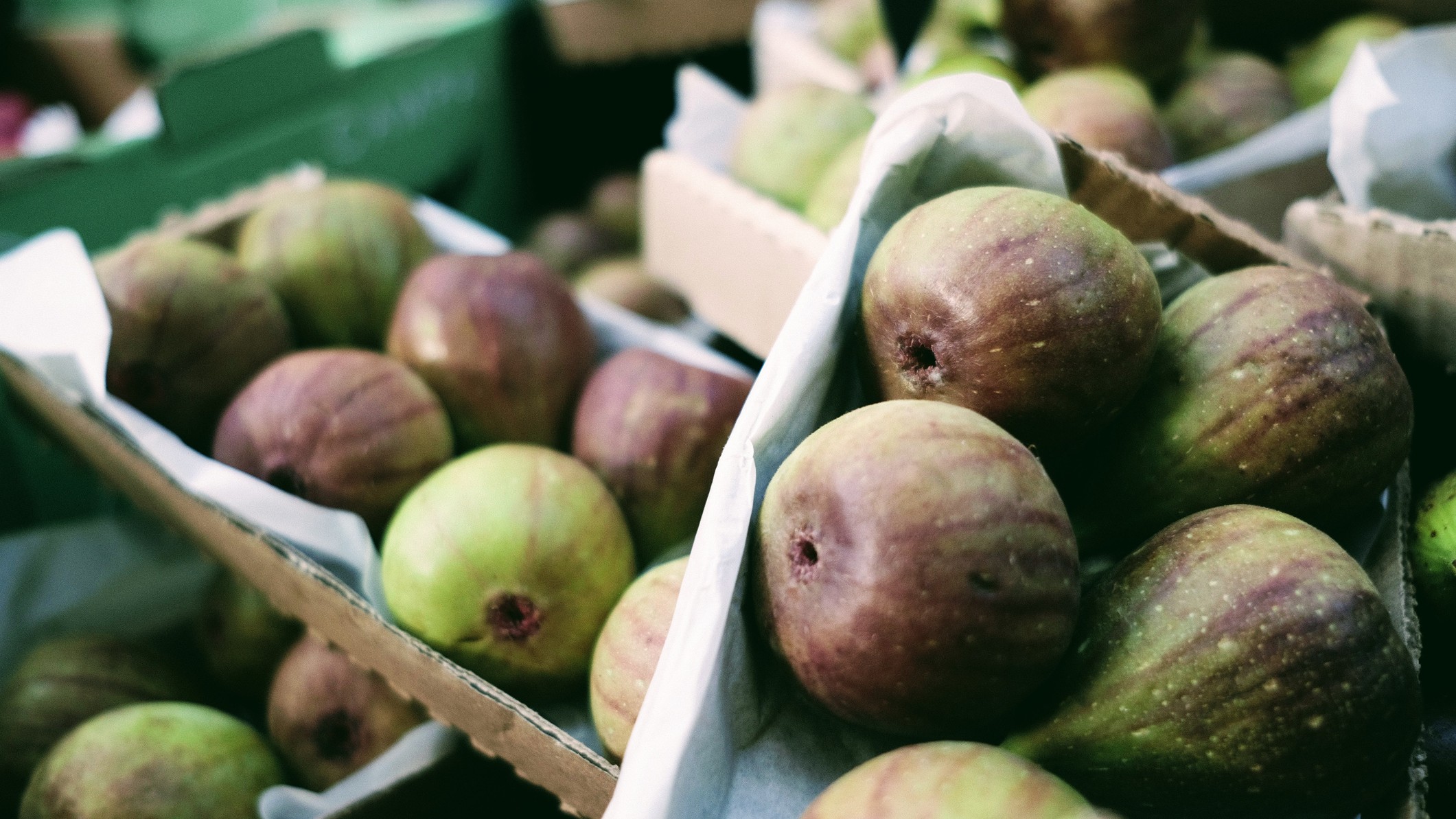 India exports first consignment of fig juice to Poland
