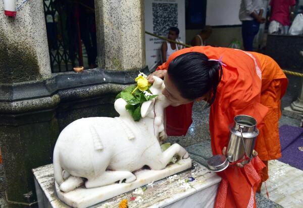 Devotees whispers in the ear of 'Nandi' on the last Monday of holy month of Shravan, at Sukleswar temple in Guwahati.