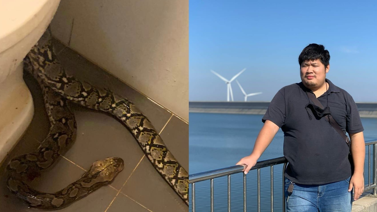 Python bites Thai man's testicles while he uses toilet; thrashed to death