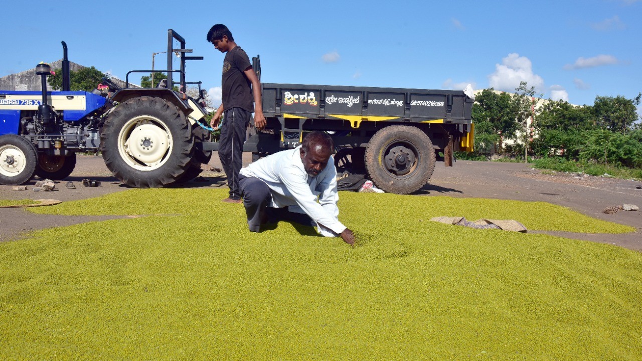 Centre extends procurement of green gram till January 22