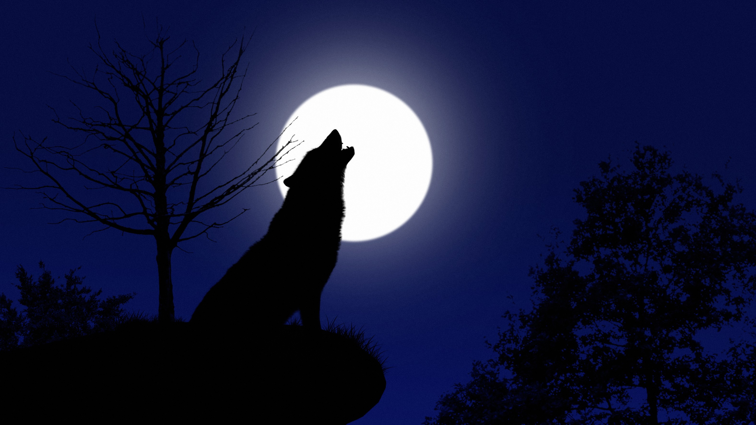 Hour of the wolf? UP villagers on alert, but two deaths cast a shadow of doubt: Report
