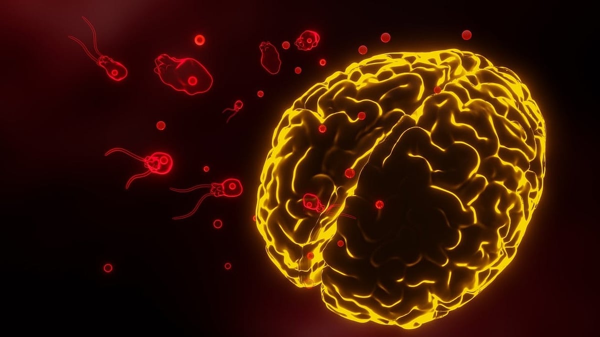 Amoeba found in well water after 'brain eating amoeba' kills 9-year-old ...