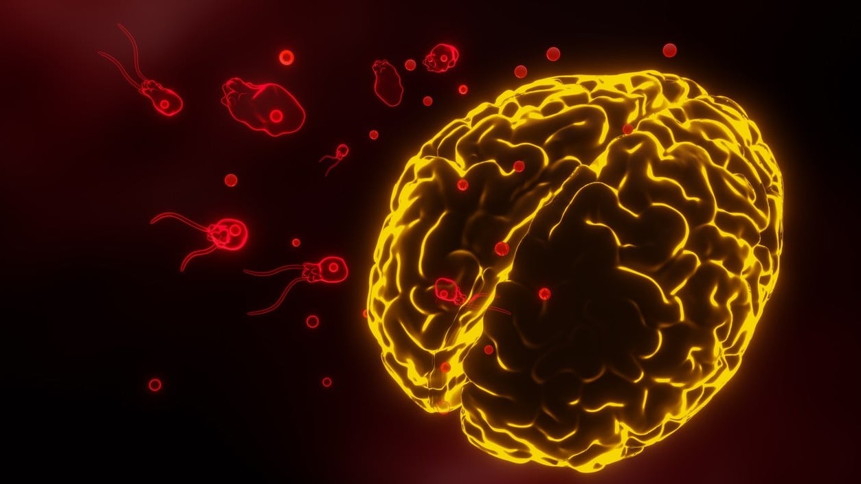 Kerala infant among two dead from from amoebic meningoencephalitis