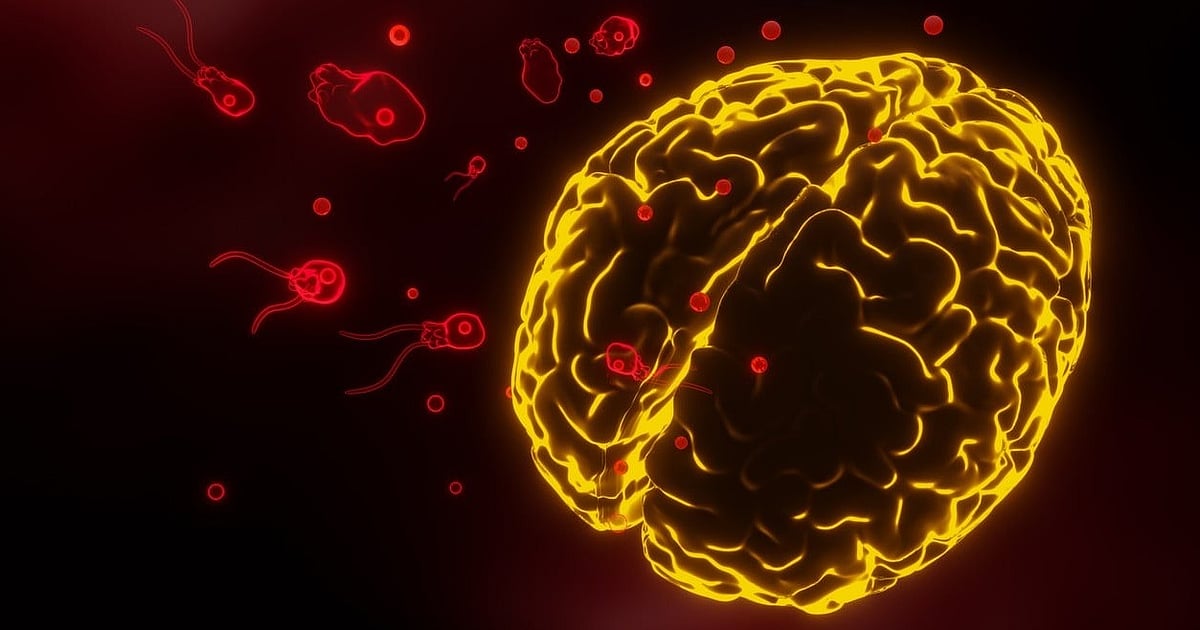 Amoeba found in well water after 'brain eating amoeba' kills 9-year-old ...