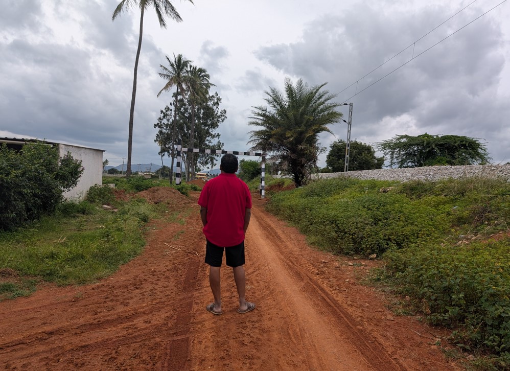Google Pixel 9 Pro XL Camera Sample without 'Reimagine' feature turned on.