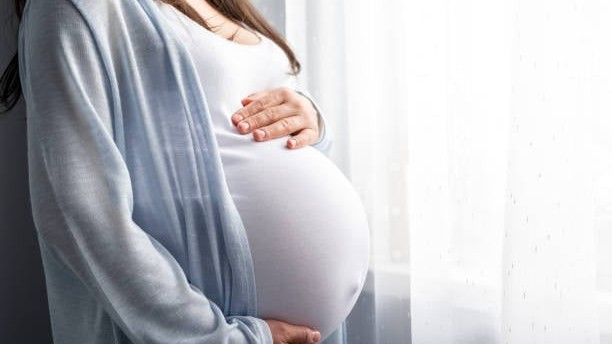 Explained | How does pregnancy change the brain? Clues are emerging