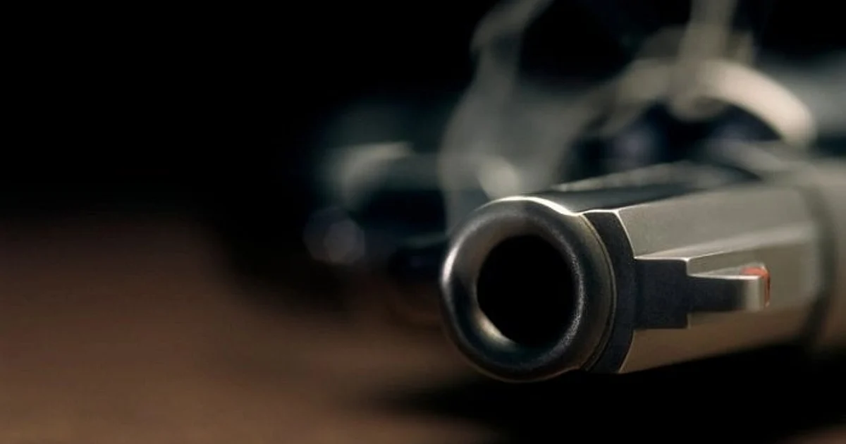 Delhi Vasant Vihar Shooting: Woman Shot by Accused From 2024 Case