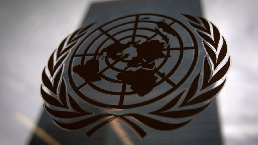 UN report finds United Nations reports are not widely read 