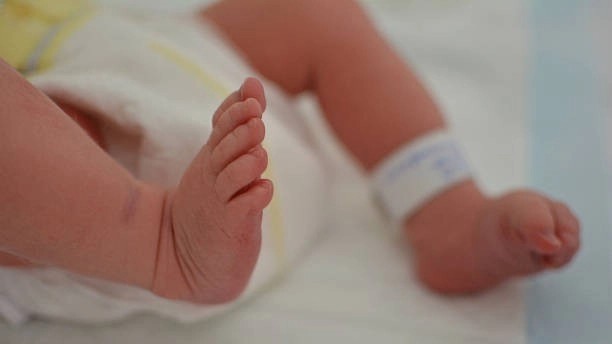 MP hospital shocker: Dog seen carrying dead newborn in its jaws; probe initiated