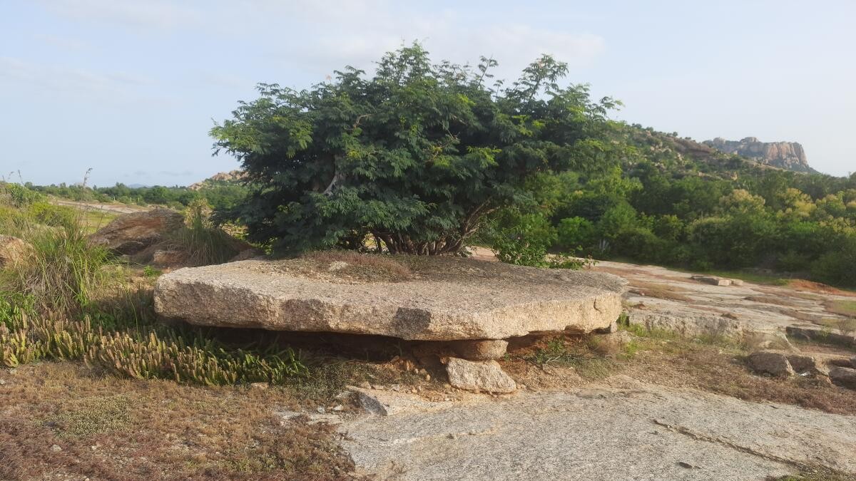 Megalithic burial site to be excavated on Wednesday in Mysuru