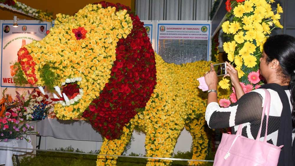 Govt discussing scheme for 'made in India' label