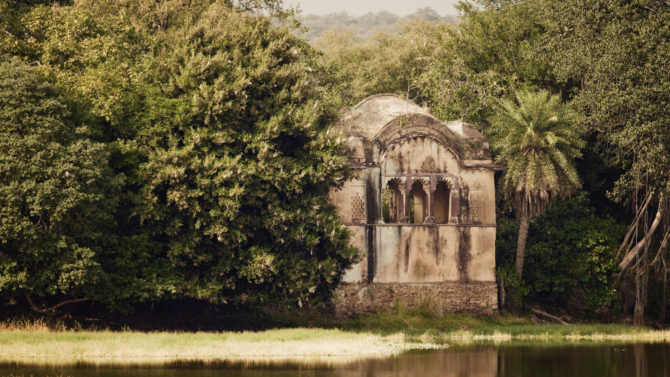 Seize and attach illegal properties and constructions in Ranthambore: Rajasthan High Court