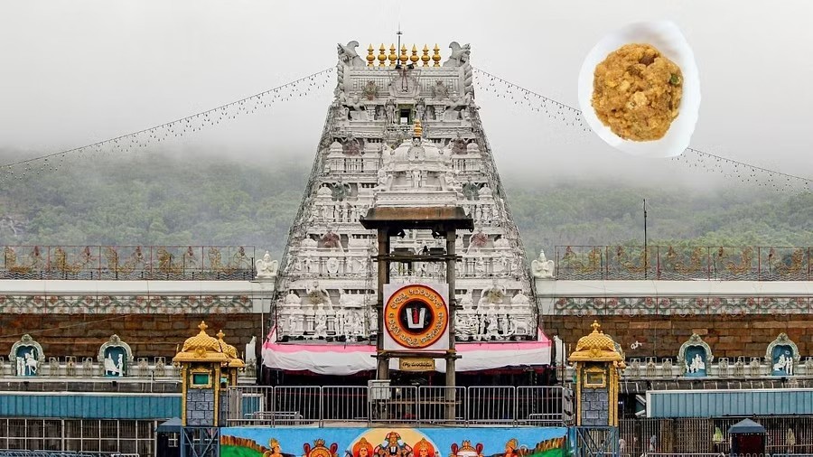 Tirumala Laddu Row: SIT questions former TTD chairman YV Subba Reddy