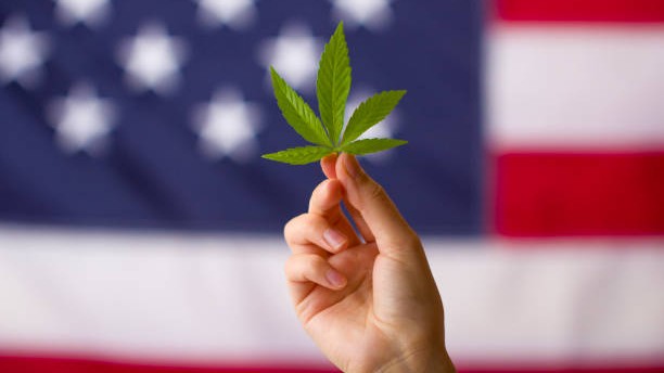 As America's marijuana use grows, so do the harms