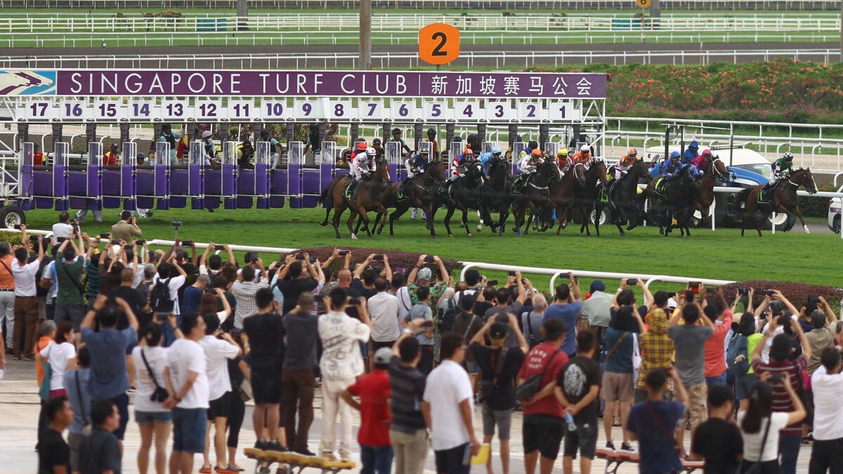 No more horsing around: Singapore ends 181 years of horse racing to make way for homes