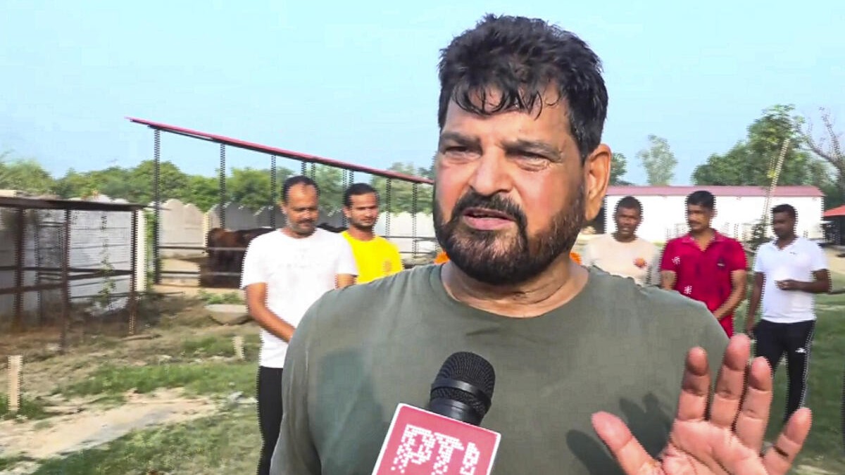 Haryana Assembly Polls 2024 | Power of my name helped Vinesh win, says Brij Bhushan