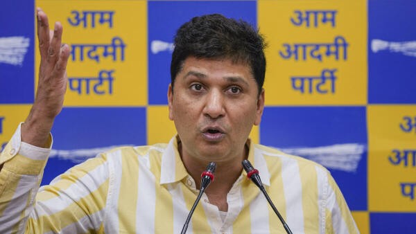 Tree felling in Delhi's Ridge: AAP accuses LG, DDA of lying in Supreme Court