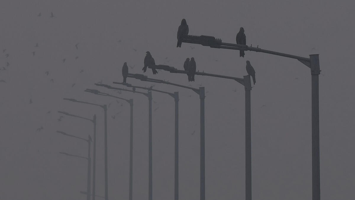 Delhi-NCR to implement GRAP-4 from November 18 as air pollution worsens
