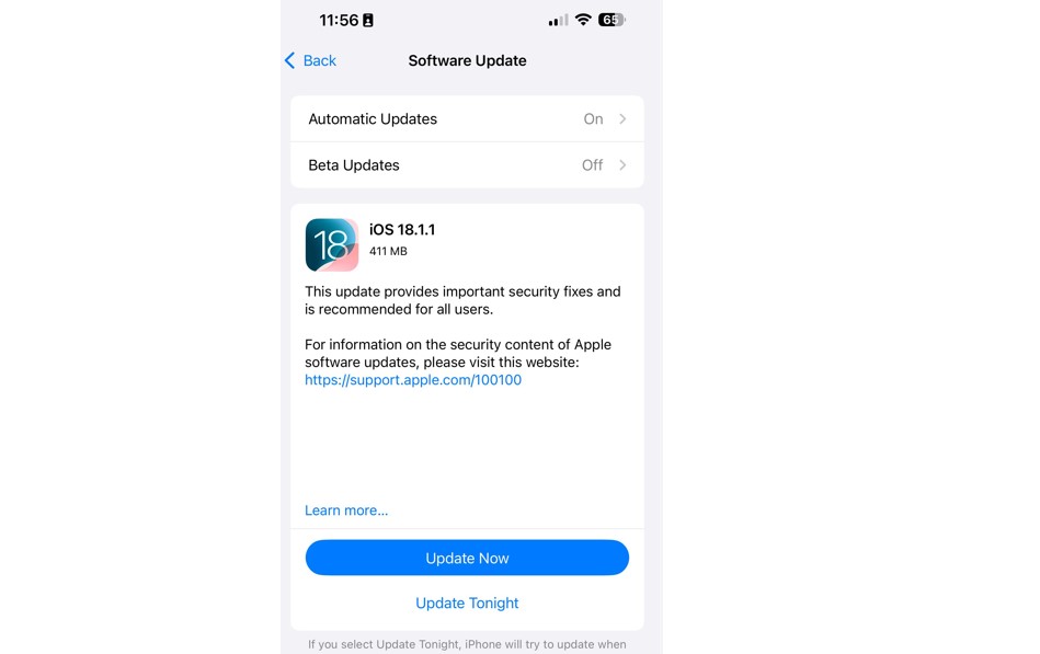 Apple iOS 18.1.1 update.
