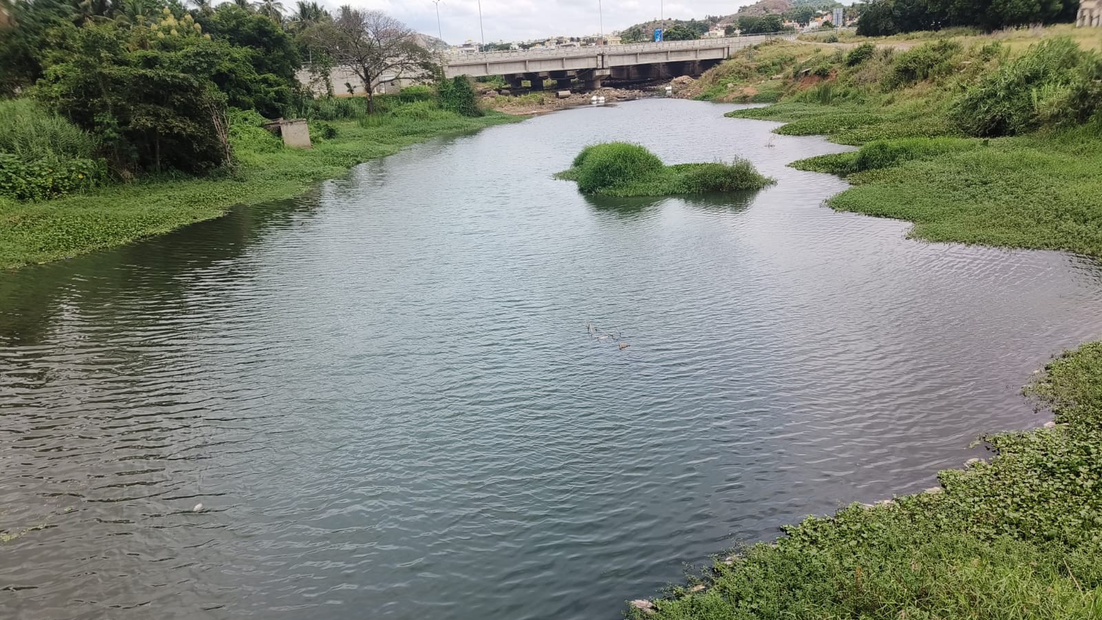 NGT seeks response from state for Arkavathy river  pollution