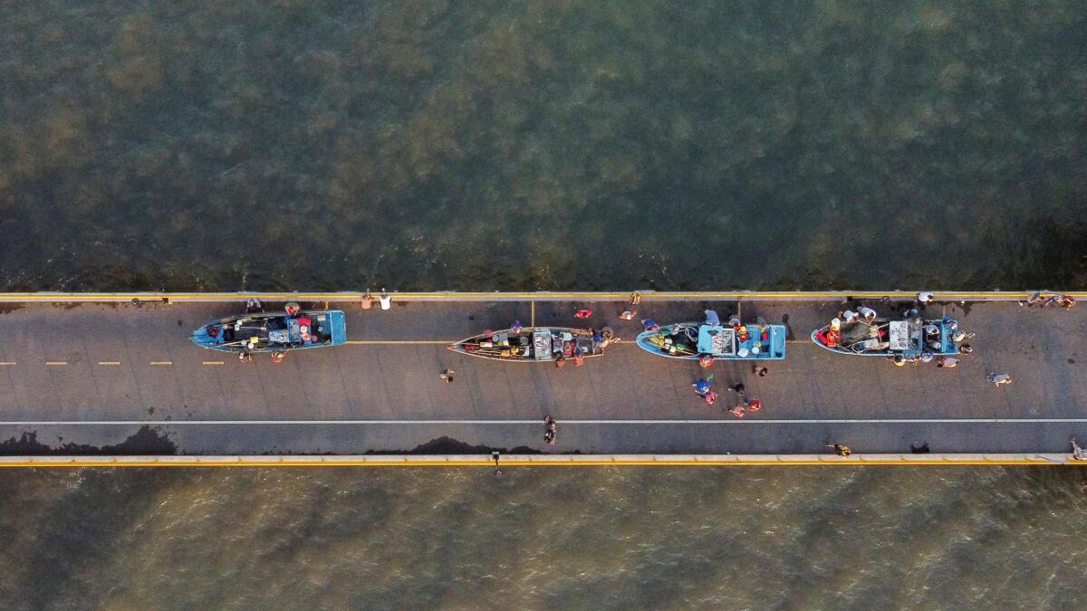A drone view of fishermen pushing boats on the fishermen's pier at the port of La Libertad, financed by China, in La Libertad, El Salvador, November 20, 2024.