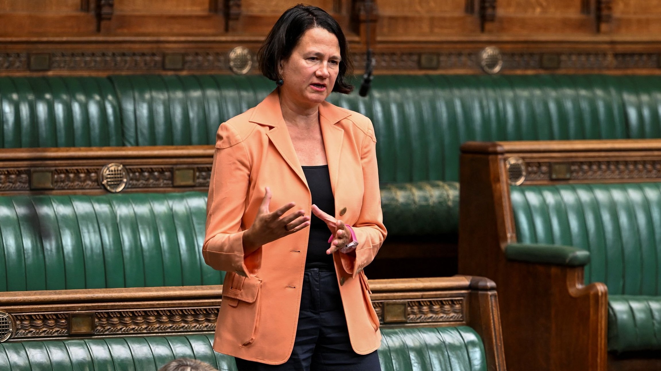 London, Delhi can share best practices towards cleaner climate: British minister