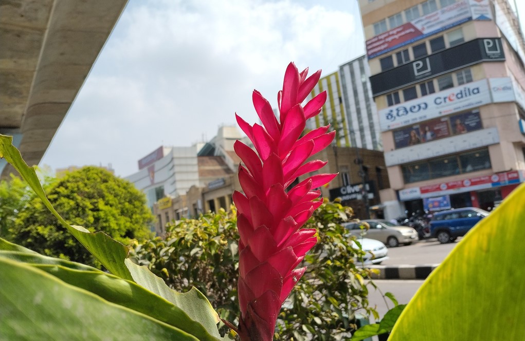 Xiaomi Redmi A4 5G's camera sample.