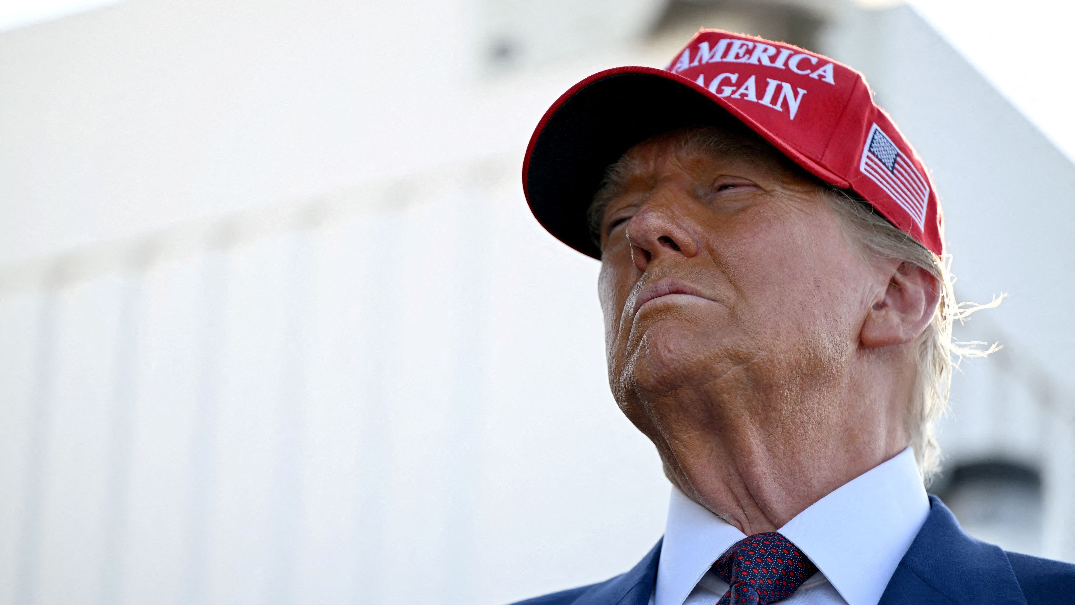 Fact checking Donald Trump: Are whales dying because of windmills?
