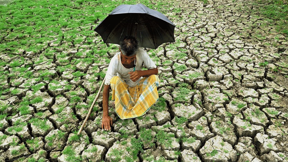 Scientists call for overhauling food systems to avert major land degradation crisis