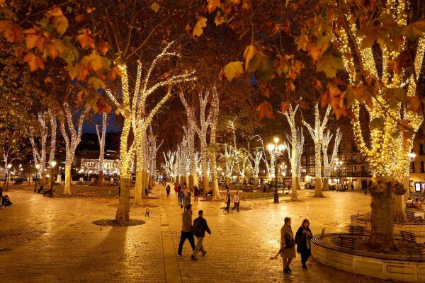People walk amongst trees illuminated for Christmas season in Bilbao