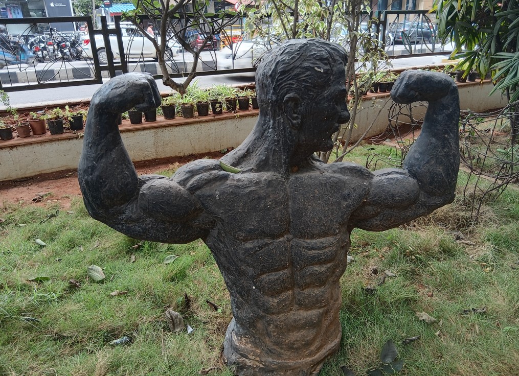 Samsung Galaxy A16's camera sample.