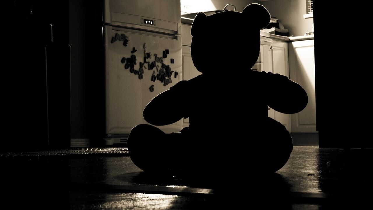 Medical examination for all children at CWC home in Kerala where toddler was physically abused, says panel