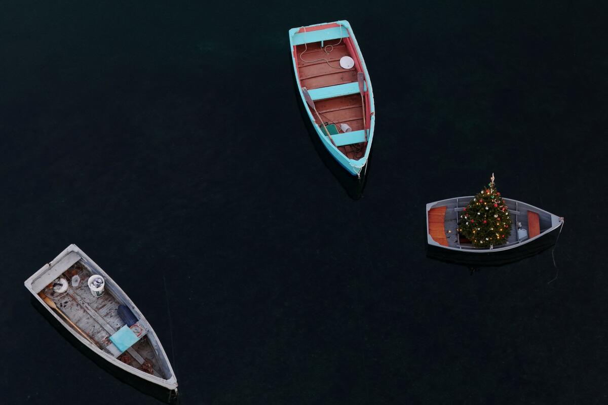 A Christmas tree sits in a dinghy off Marblehead.