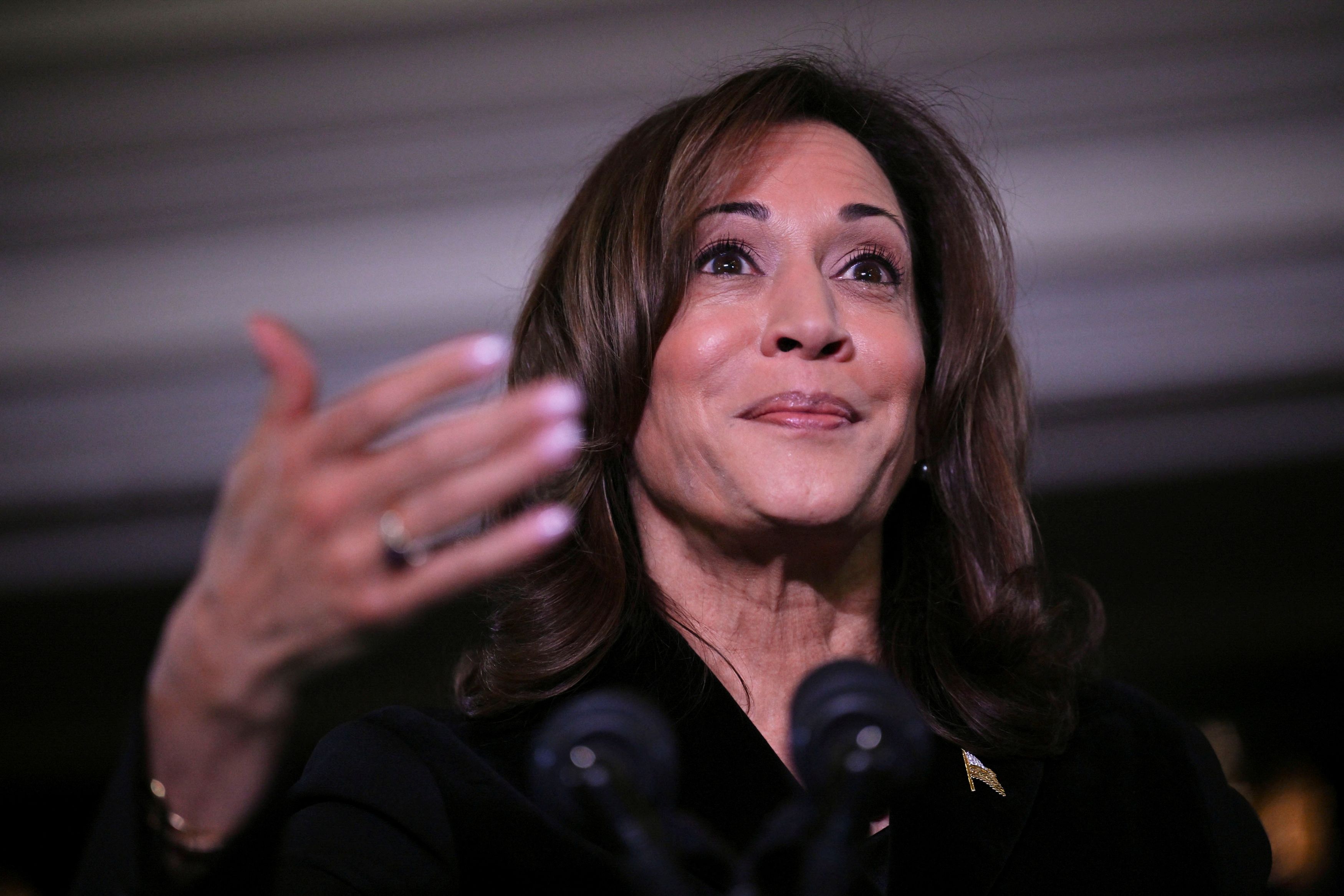 US Vice President Kamala Harris delivers remarks at the Democratic National Committee's Holiday Reception at the Willard Hotel in Washington. 