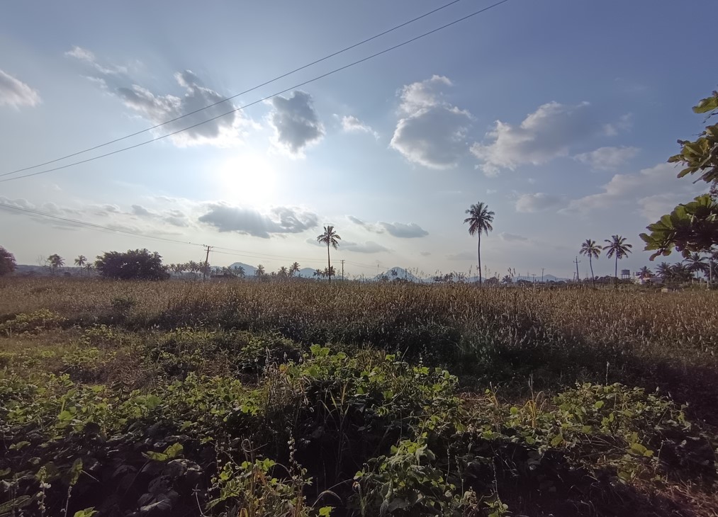 Xiaomi Redmi Note 14 5G's camera sample with ultra-wide angle mode.