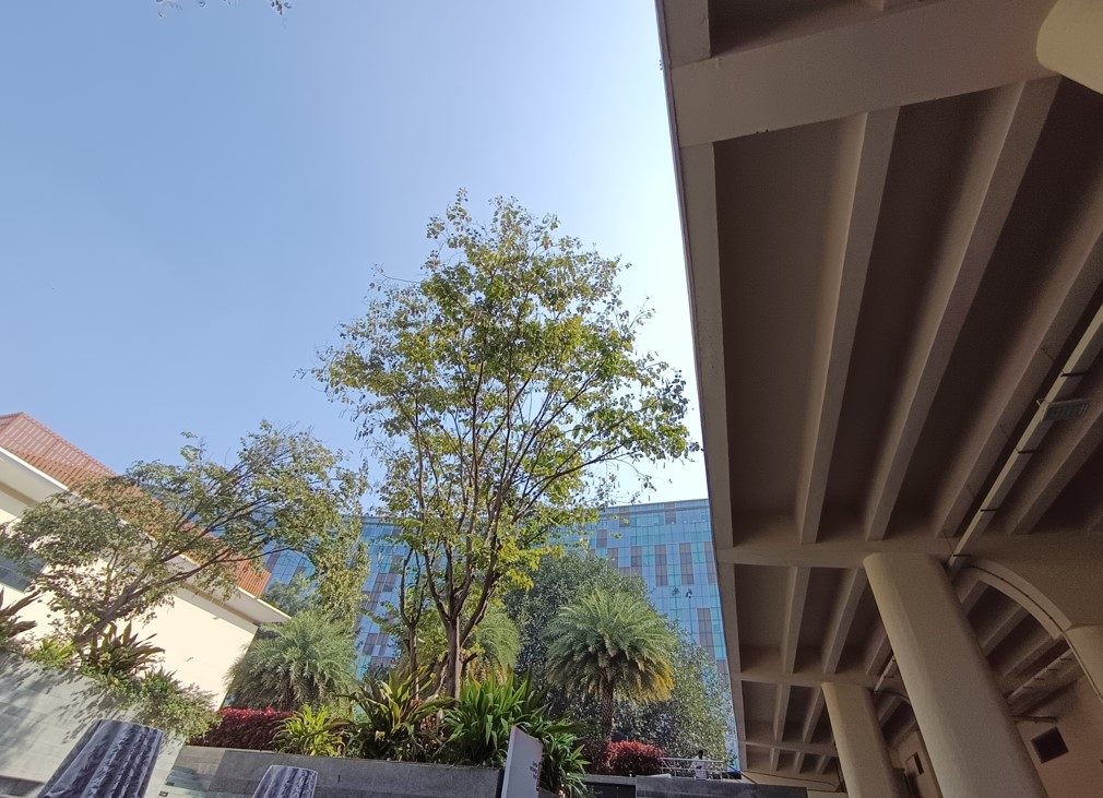 Xiaomi Redmi Note 14 5G's camera sample.