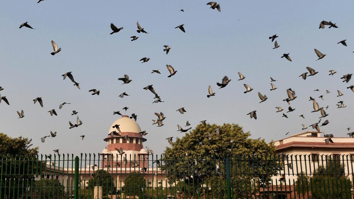 Unauthorised constructions cannot be legitimised or protected: Supreme Court