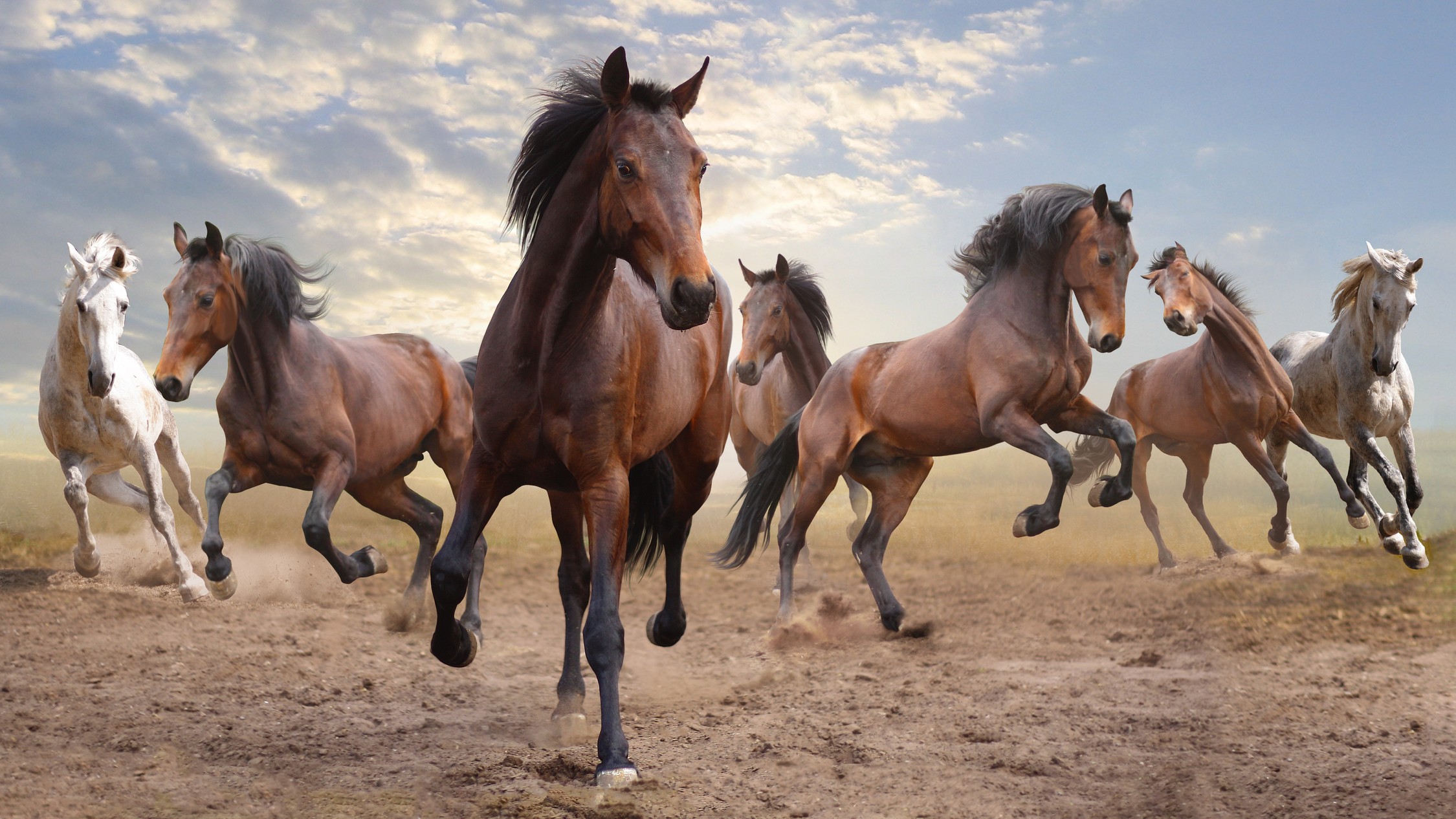 Globalisation's early gift was the horse: How the animal shaped history