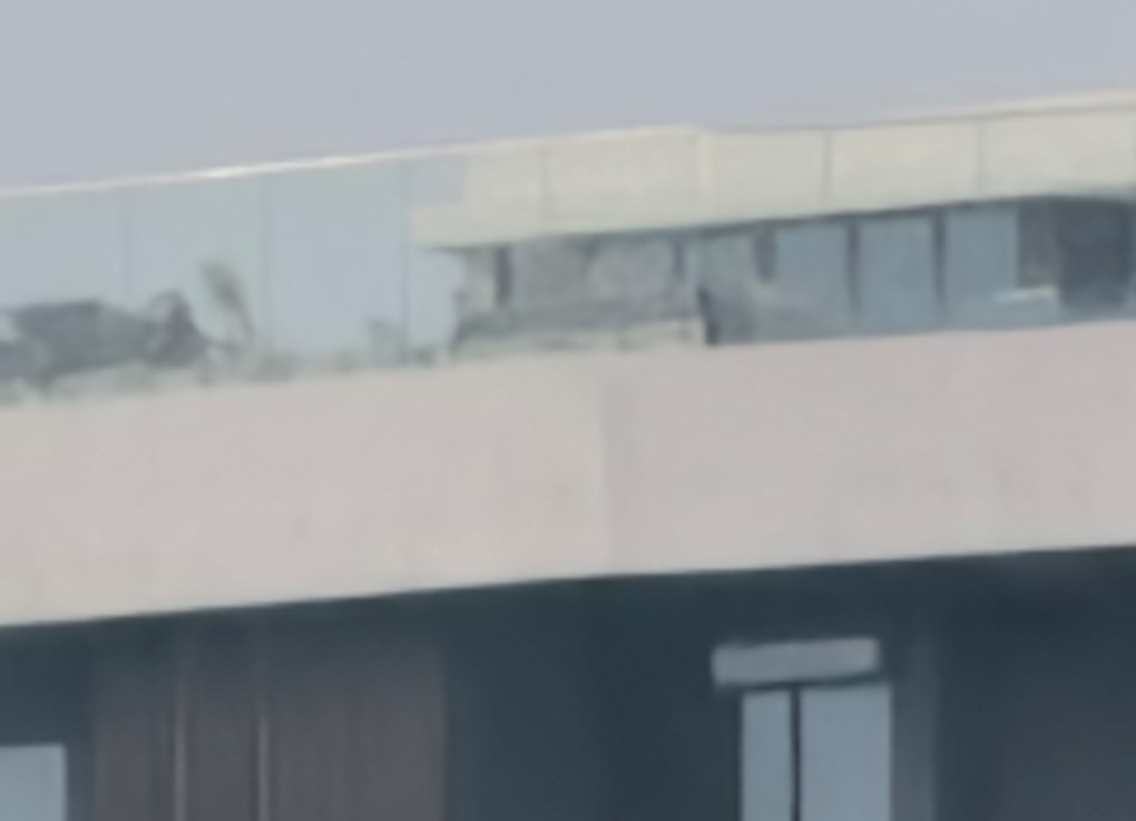 Vivo X200 5G's camera sample with 100X zoom.