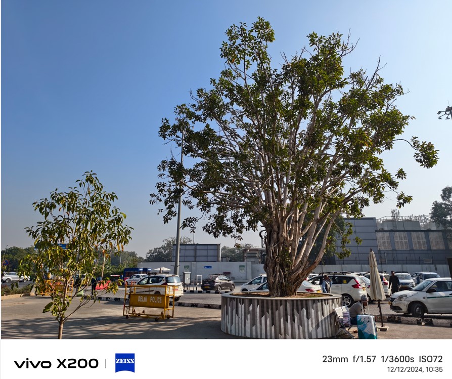 Vivo X200 5G's camera sample.