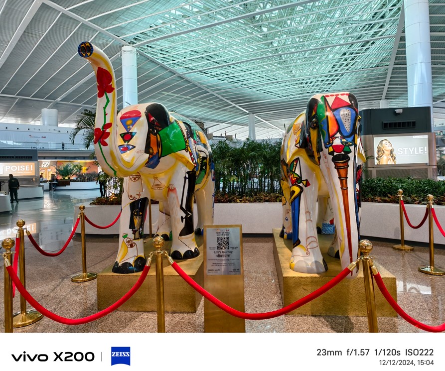 Vivo X200 5G's camera sample.