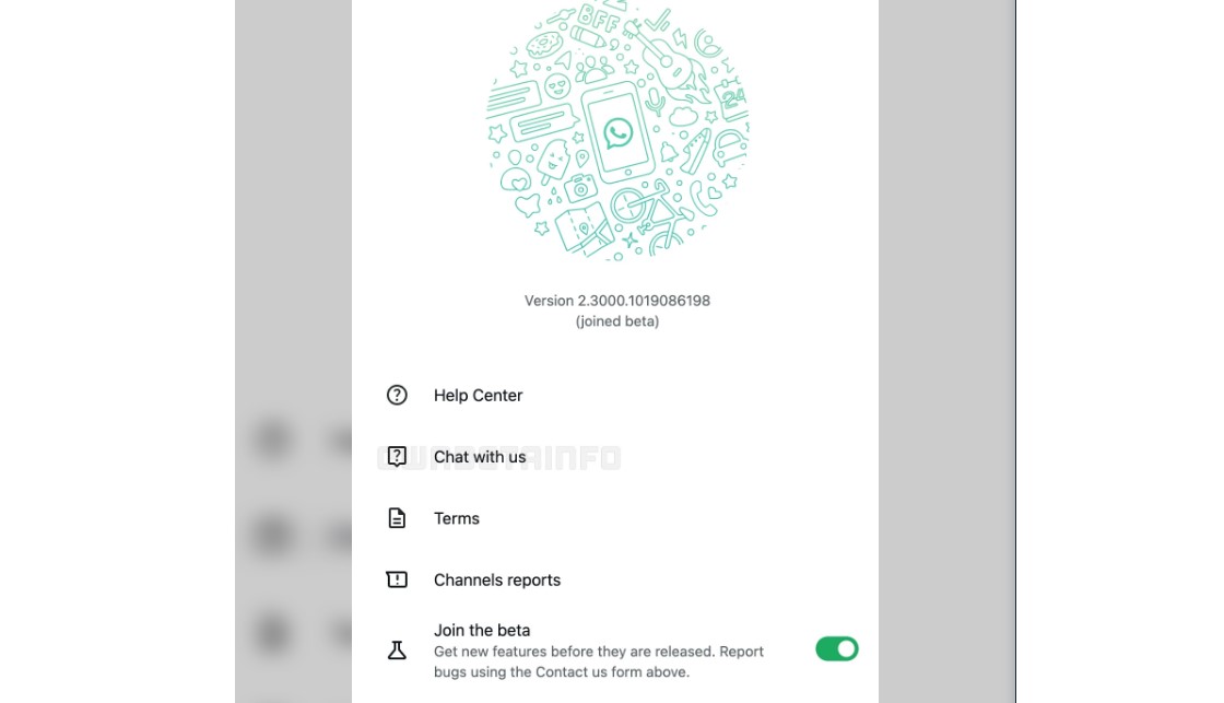 Chat with us option shown on WhatsApp beta.