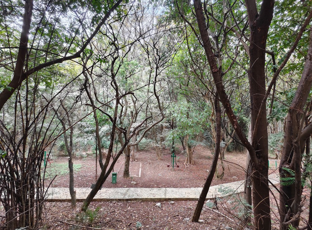 iQOO13 5G's camera sample with wide-angle mode.