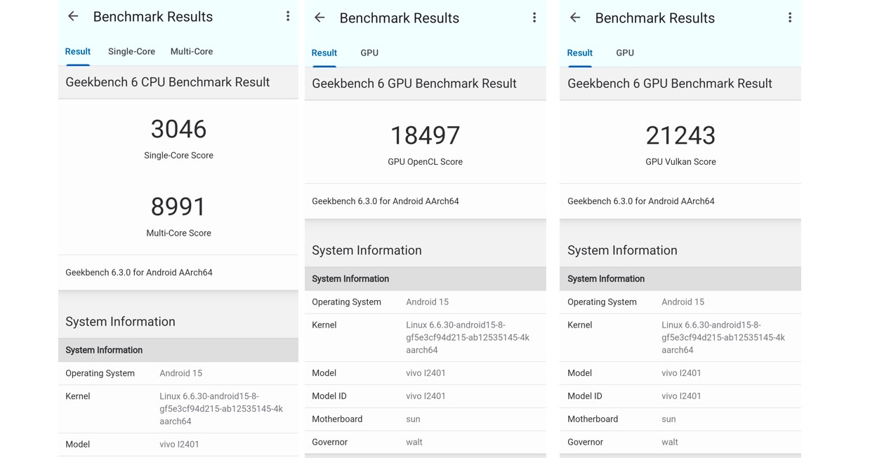 iQOO13 5G's CPU and GPU performance score on Geekbench 6.0.