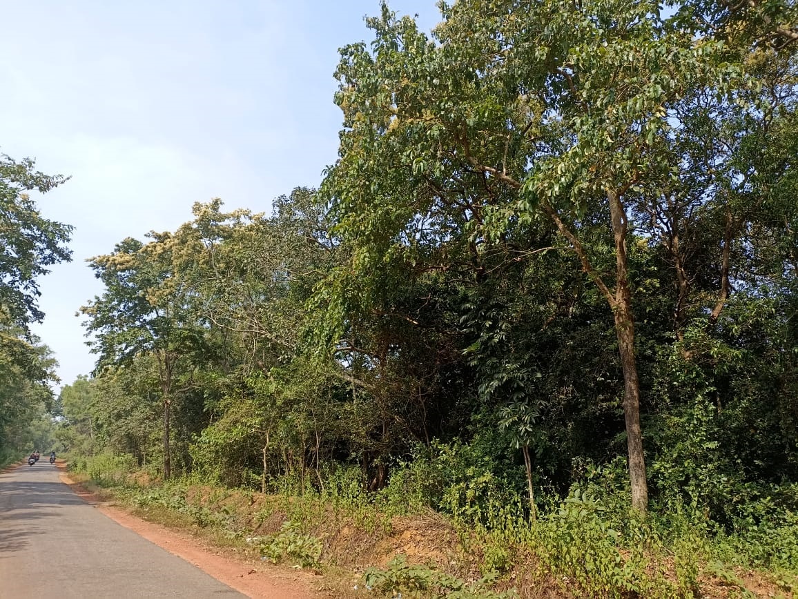 Halkar village in Uttara Kannada district