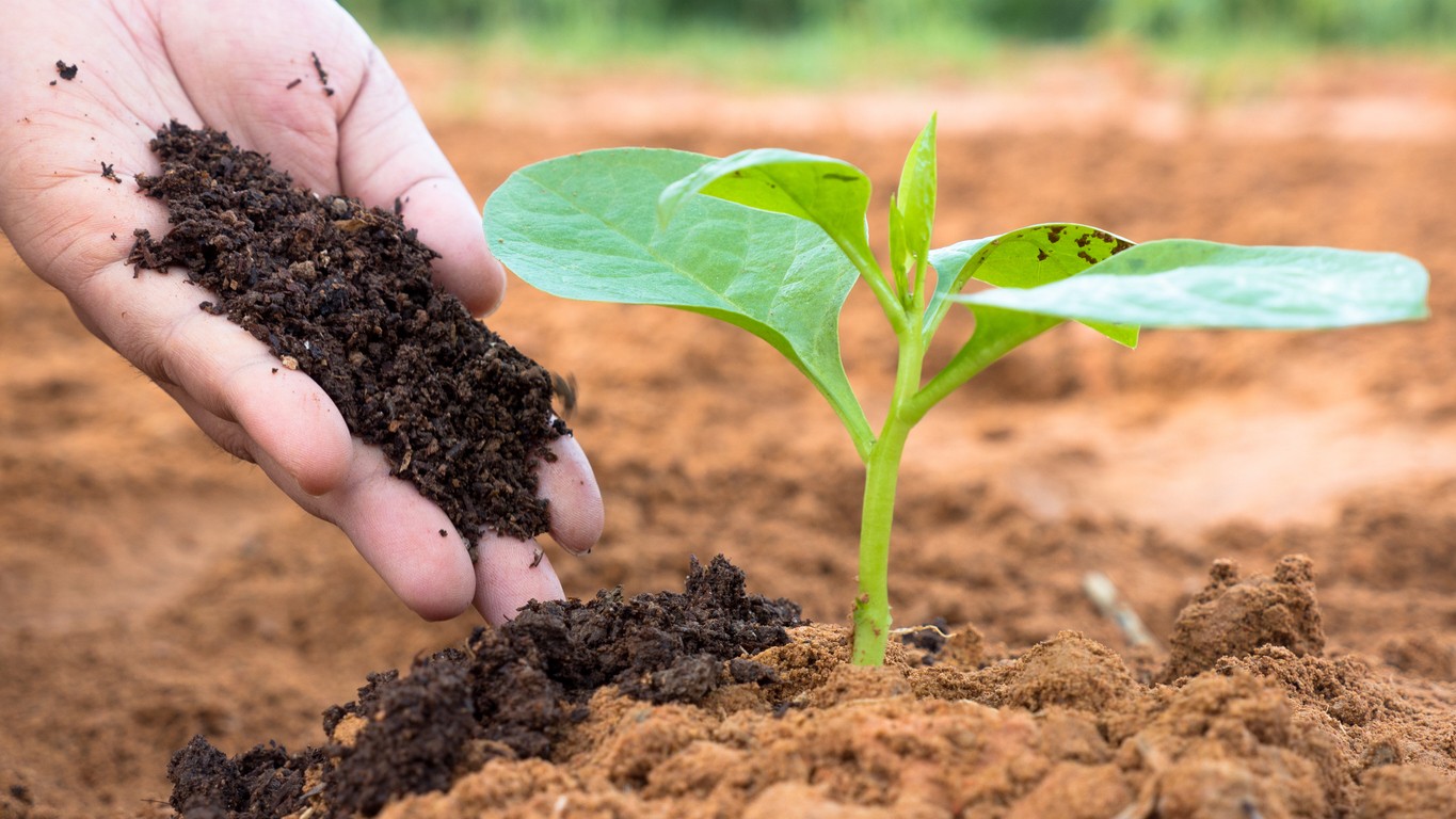 Phase 1 of SORT project in Bengaluru converts 80 MT of organic waste into 15 MT of compost: IPCA